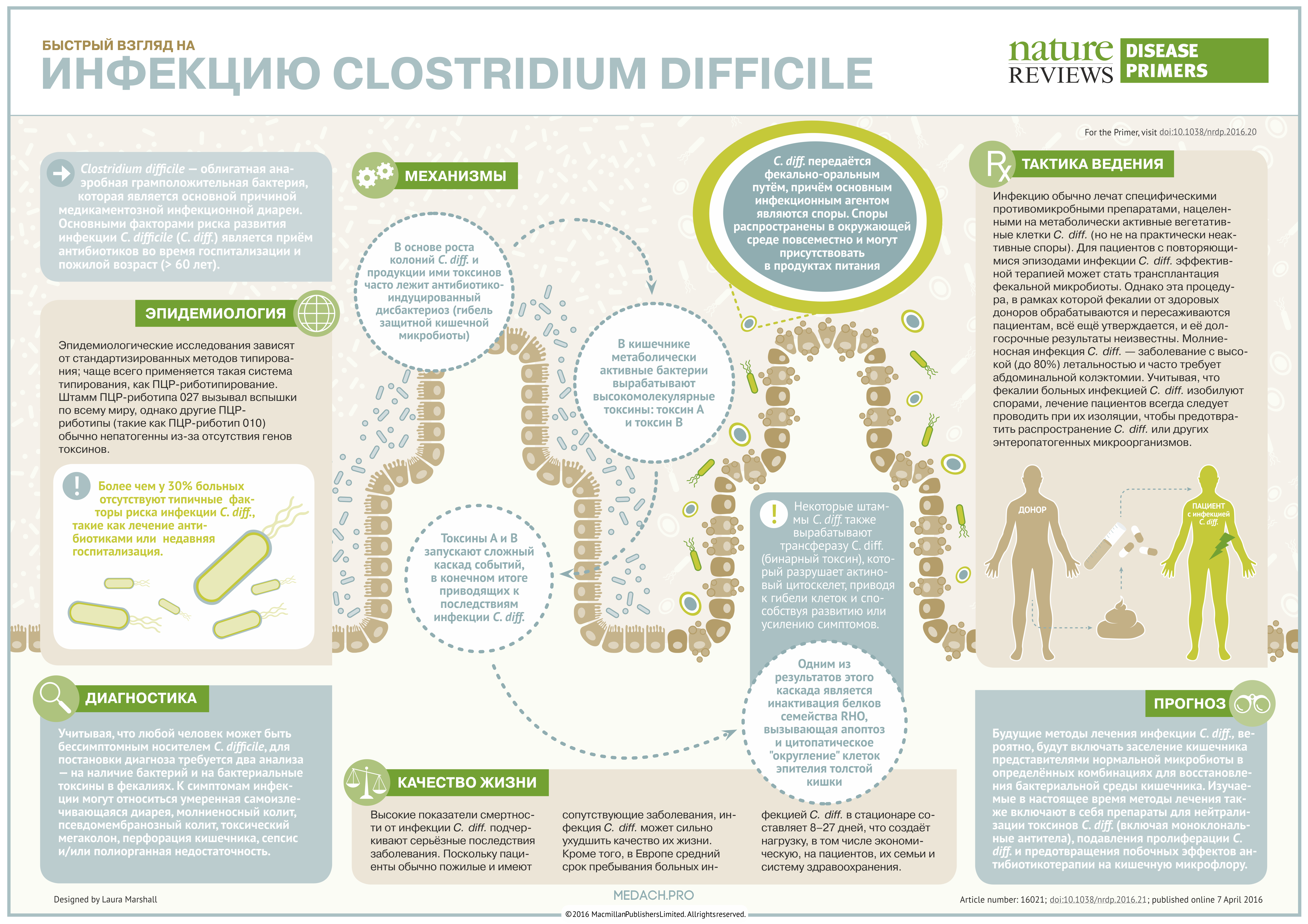 Инфекция Clostridium difficile