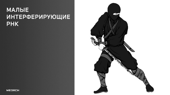 siRNA — часть мира РНК, которая захватила умы ученых