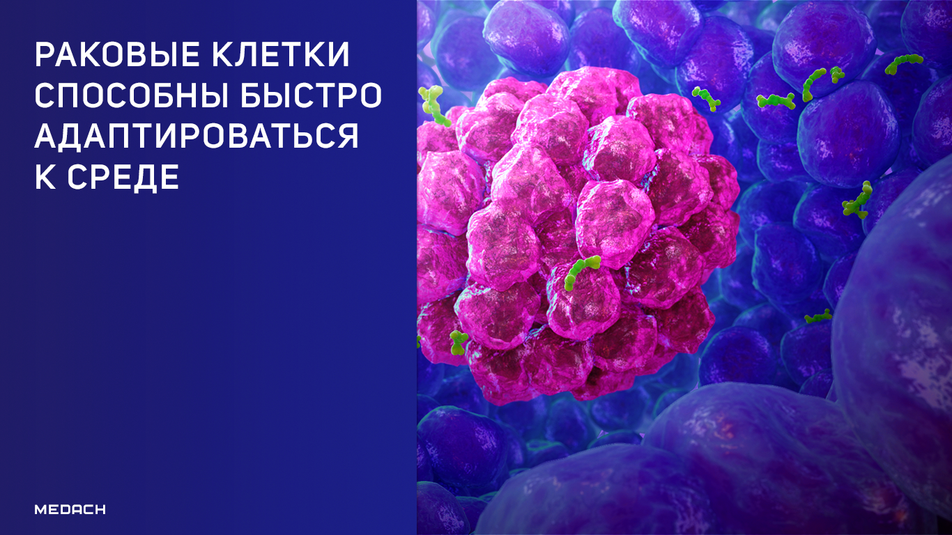 Раковые клетки способны быстро адаптироваться к среде
