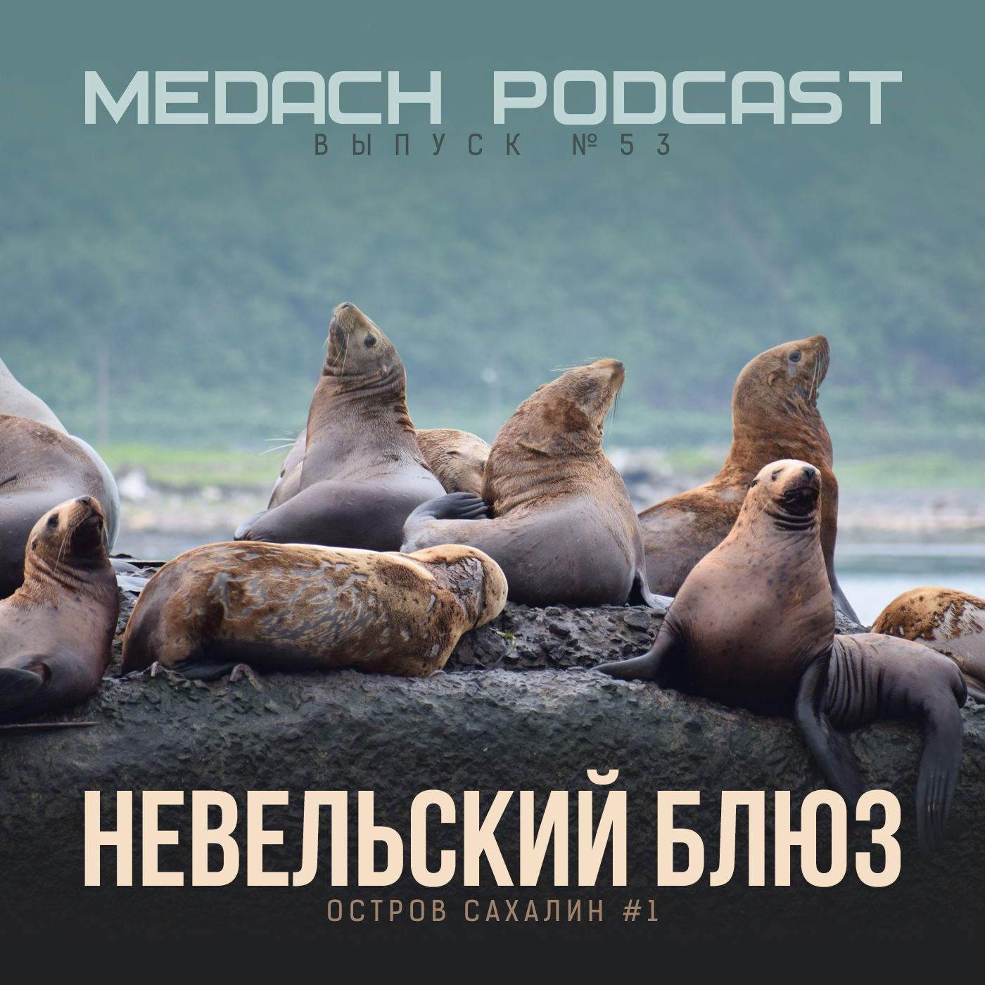 Невельский блюз