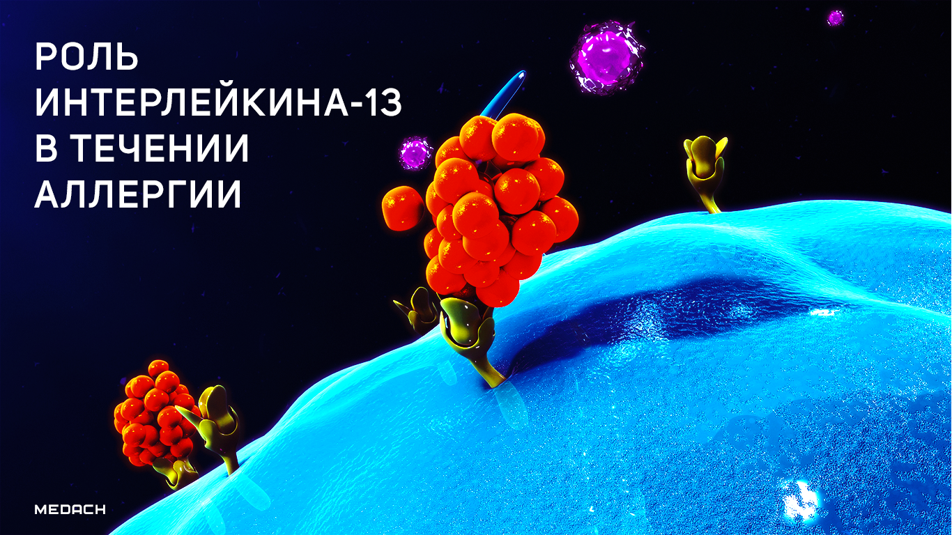 Роль интерлейкина-13 (ИЛ-13) в течении аллергии