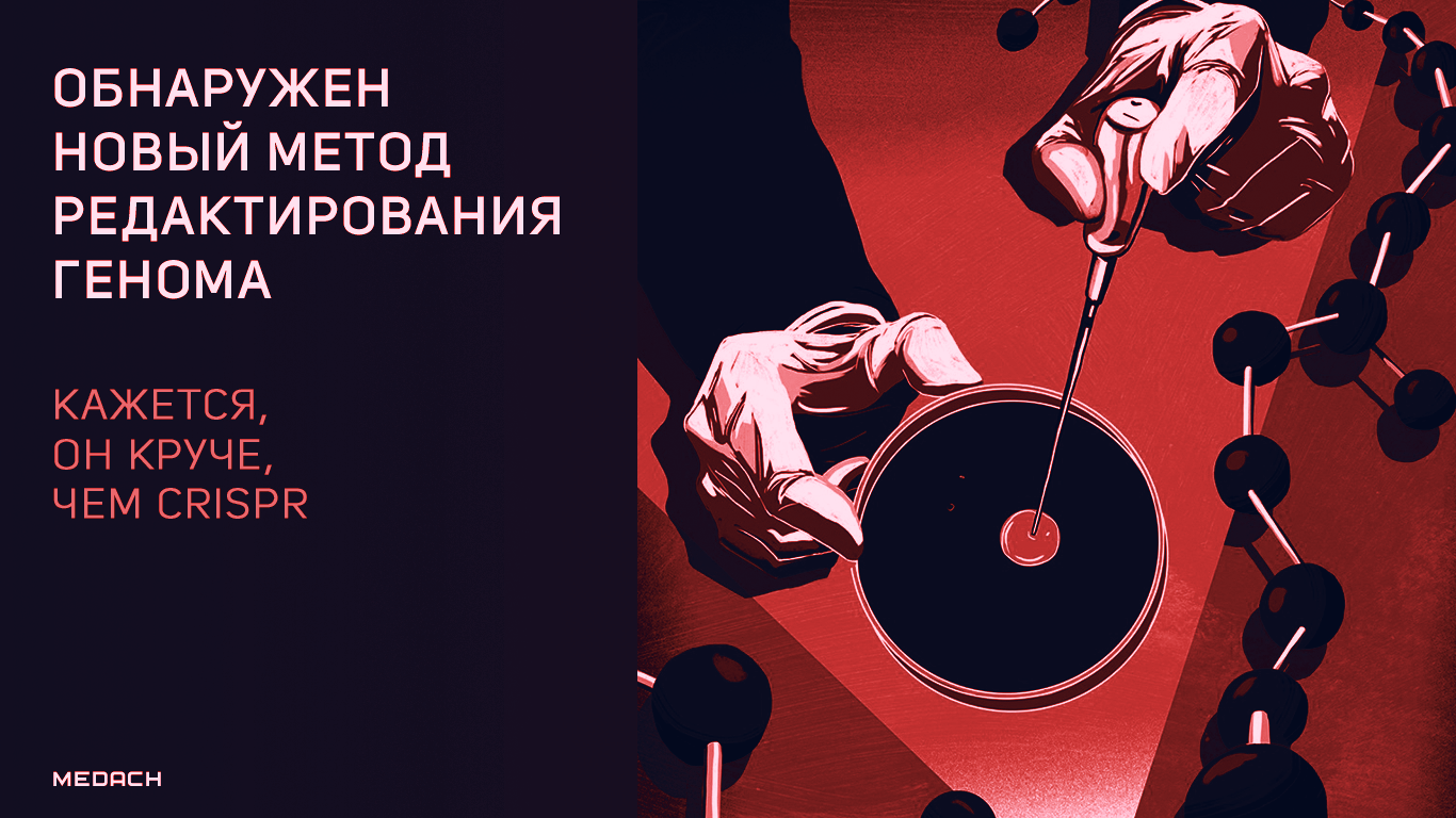 Обнаружен новый метод редактирования генома. Кажется, он круче, чем CRISPR
