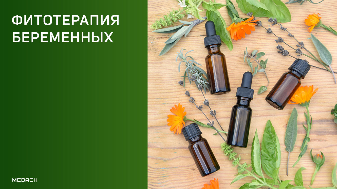 Фитотерапия беременных