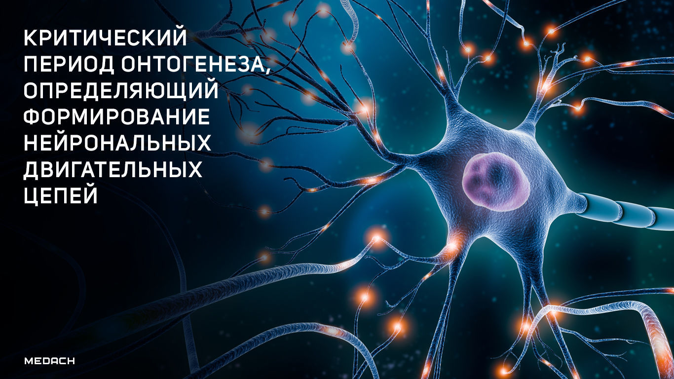 Критический период онтогенеза, определяющий формирование нейрональных двигательных цепей