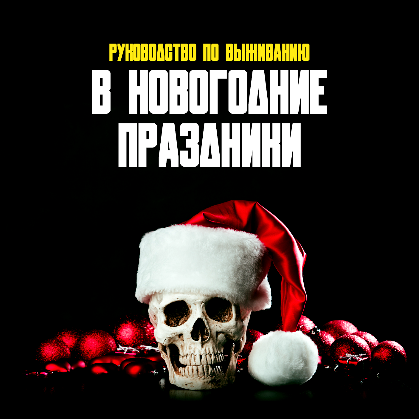 Руководство по выживанию в Новогодние праздники (PDF)