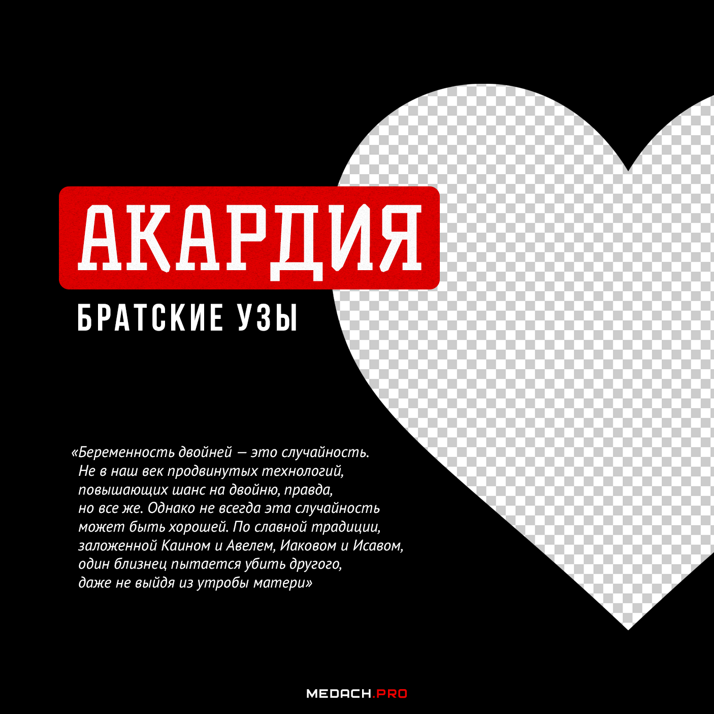 Акардия: братские узы