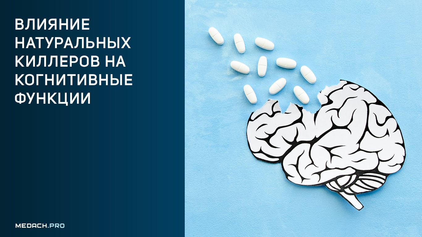 Влияние натуральных киллеров на когнитивные функции