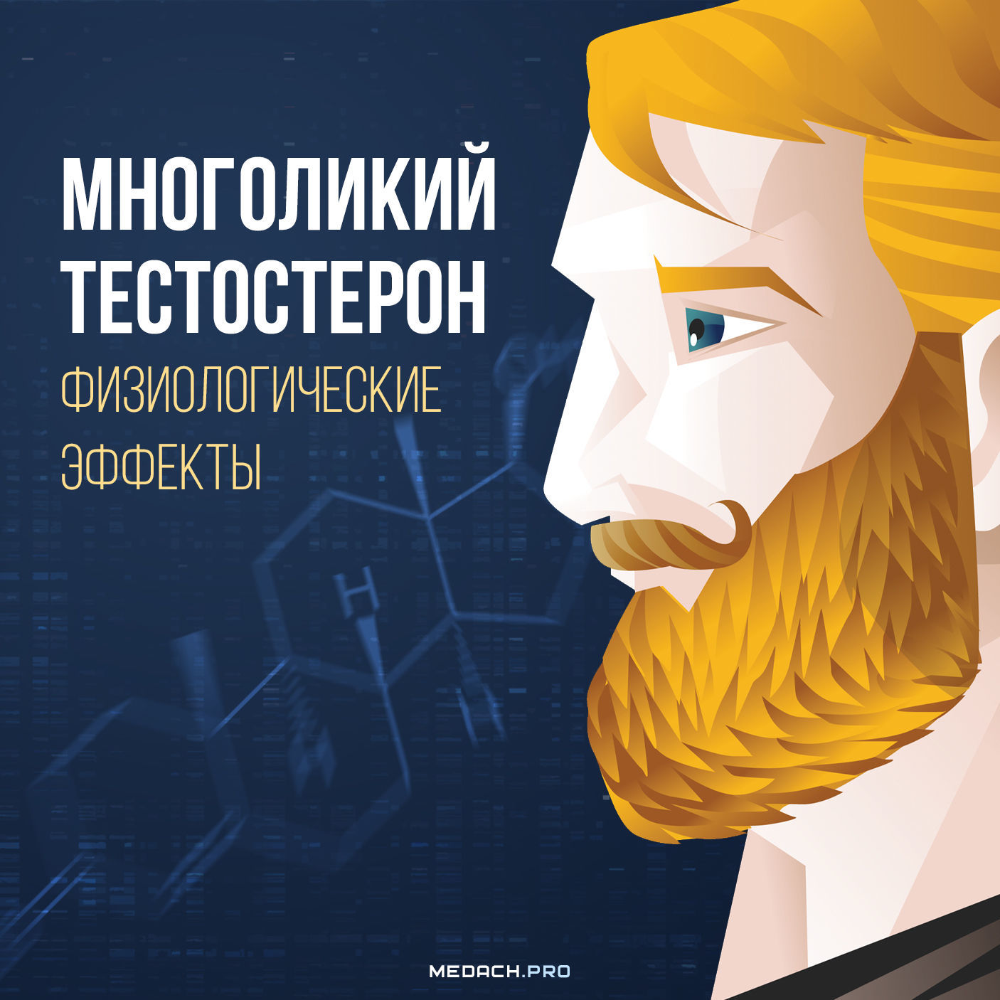 Многоликий тестостерон: физиологические эффекты