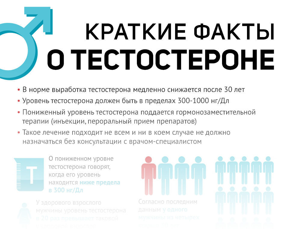 Краткие факты о тестостероне: инфографика