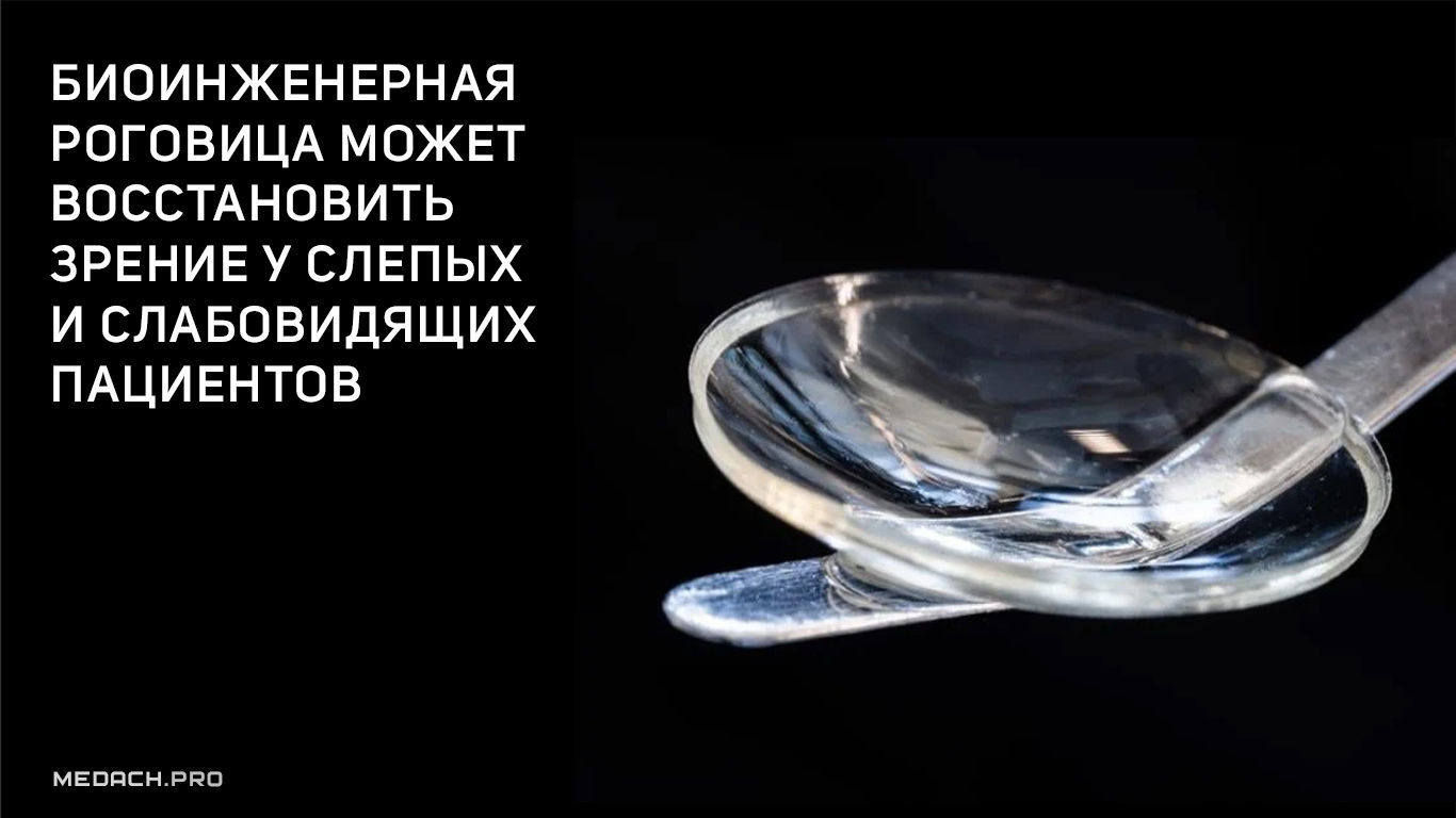 Биоинженерная роговица может восстановить зрение у слепых и слабовидящих пациентов