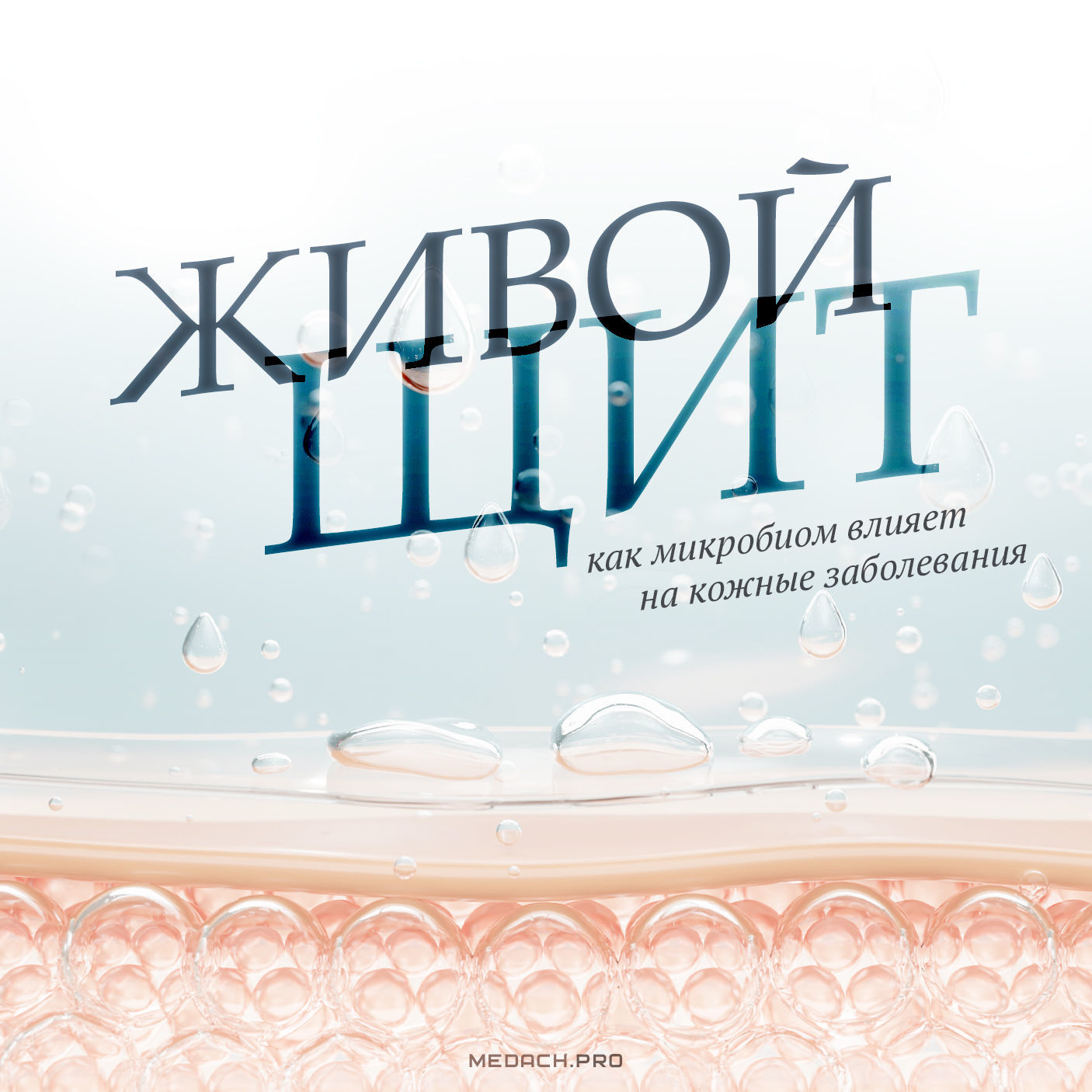 Живой щит: как микробиом влияет на кожные заболевания
