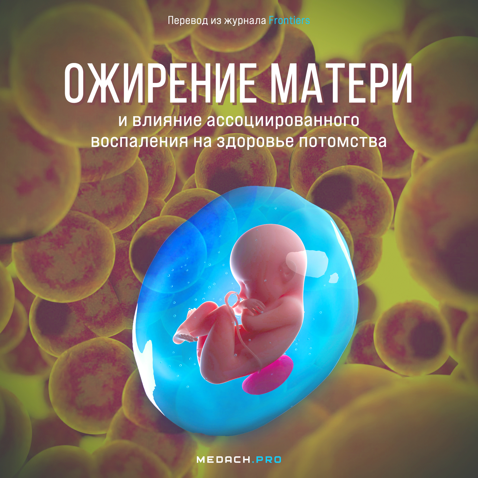 Ожирение матери и влияние связанного с ним воспаления в начале жизни потомства на его здоровье в долгосрочной перспективе