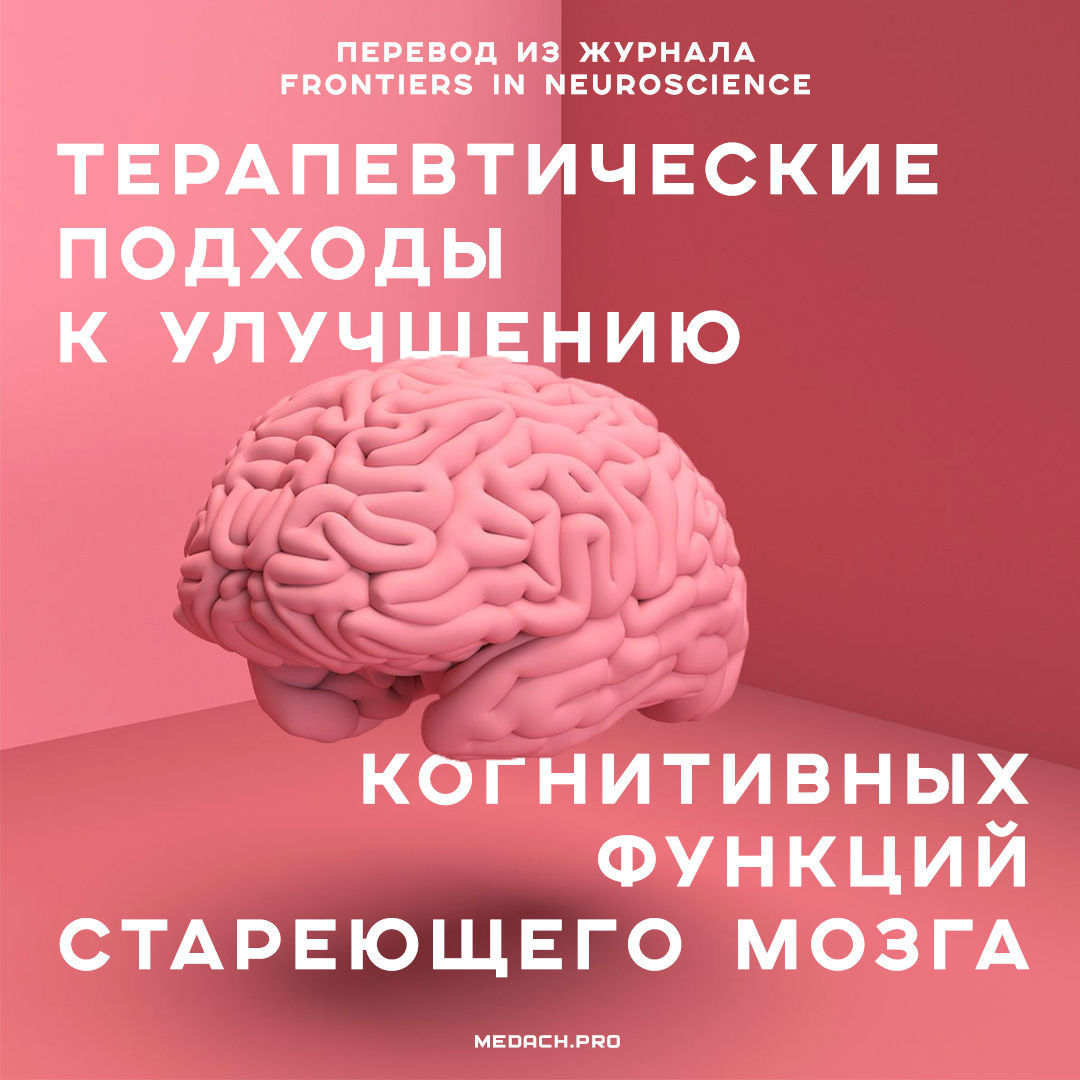 Терапевтические подходы к улучшению когнитивных функций стареющего мозга