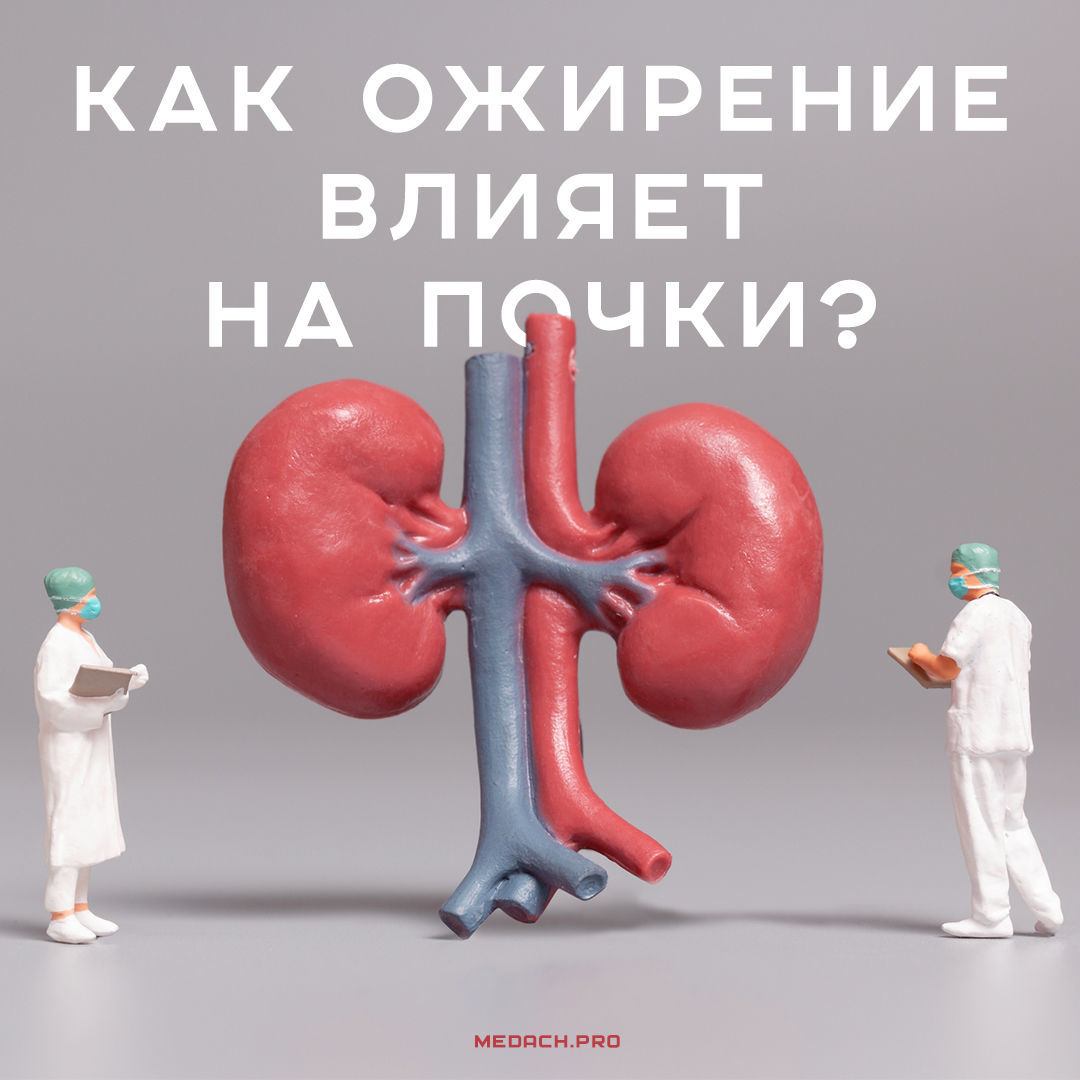Как ожирение влияет на почки?