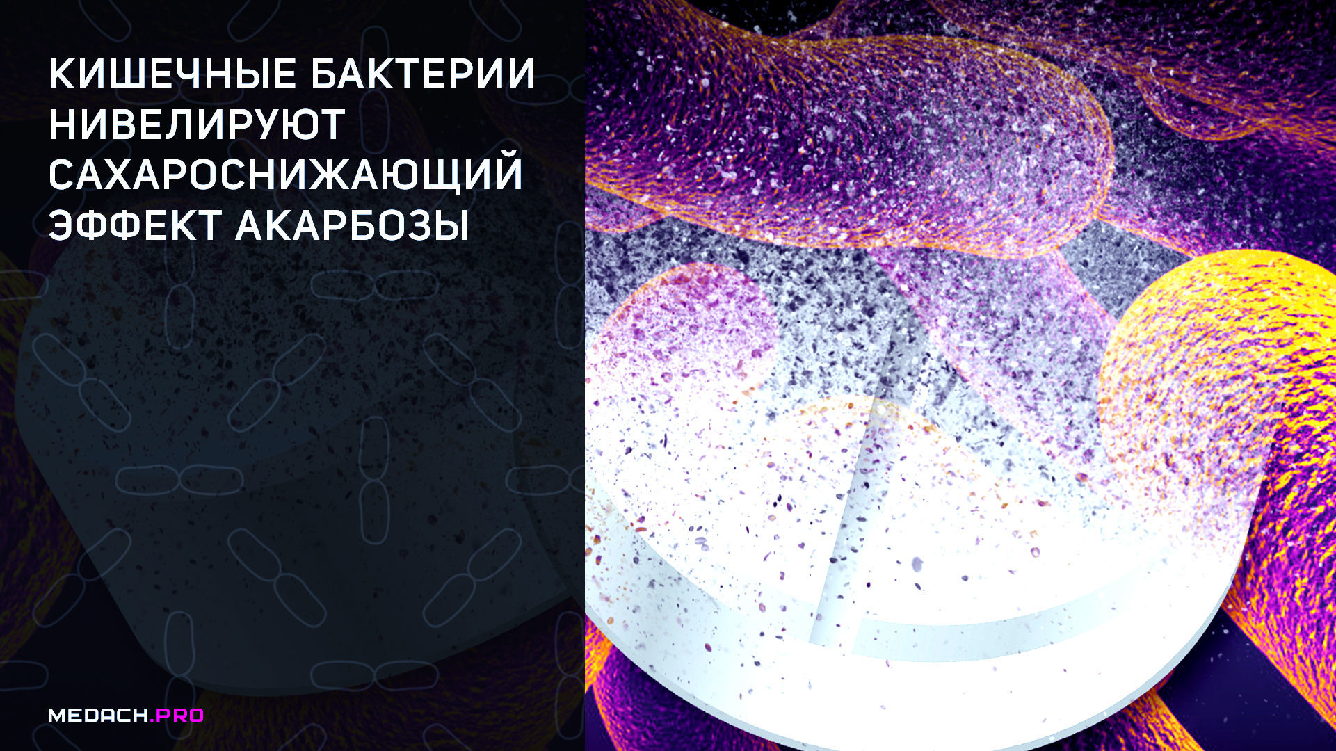 Кишечные бактерии нивелируют сахароснижающий эффект акарбозы