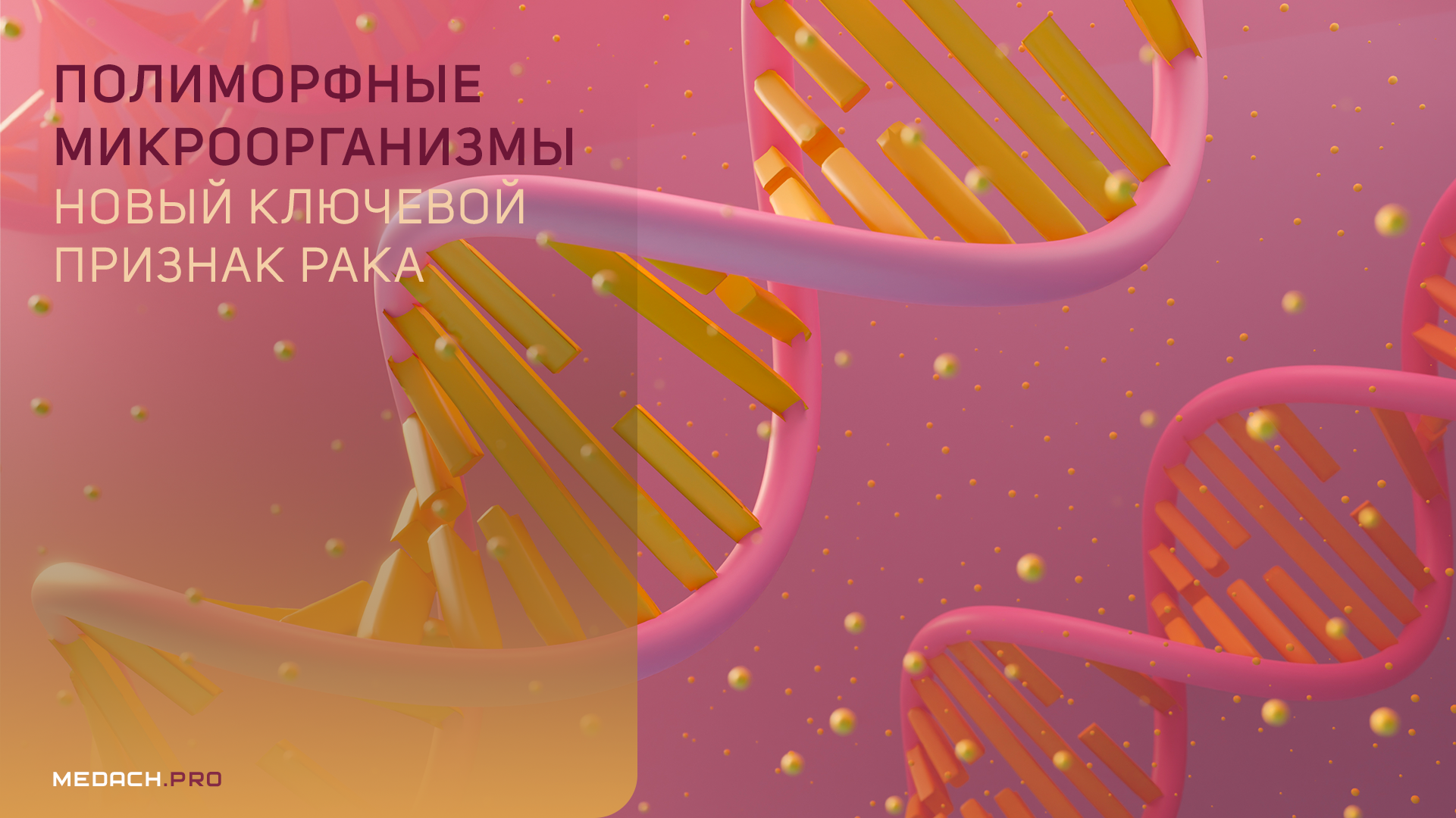 Полиморфные микроорганизмы — новый ключевой признак рака