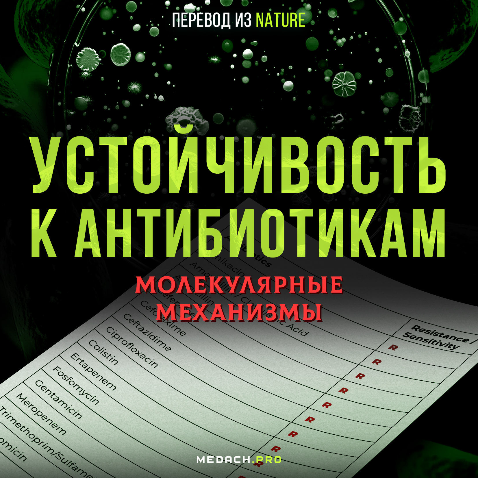 Молекулярные механизмы устойчивости к антибиотикам
