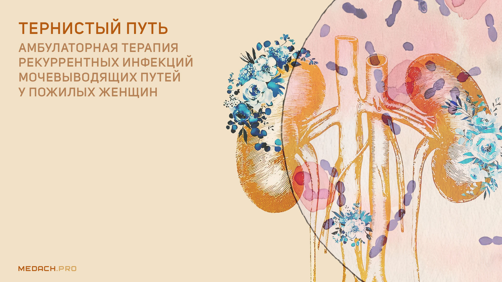 Тернистый путь. Амбулаторная терапия рекуррентных инфекций мочевыводящих путей у пожилых женщин.