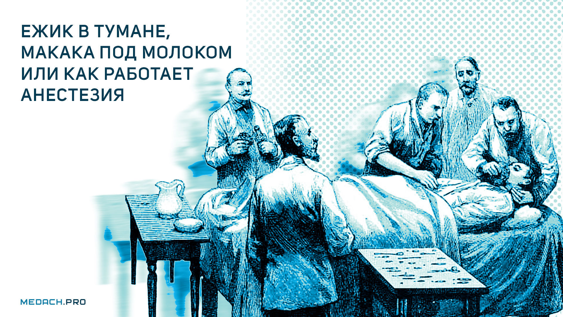 Ежик в тумане, макака под молоком или как работает анестезия.