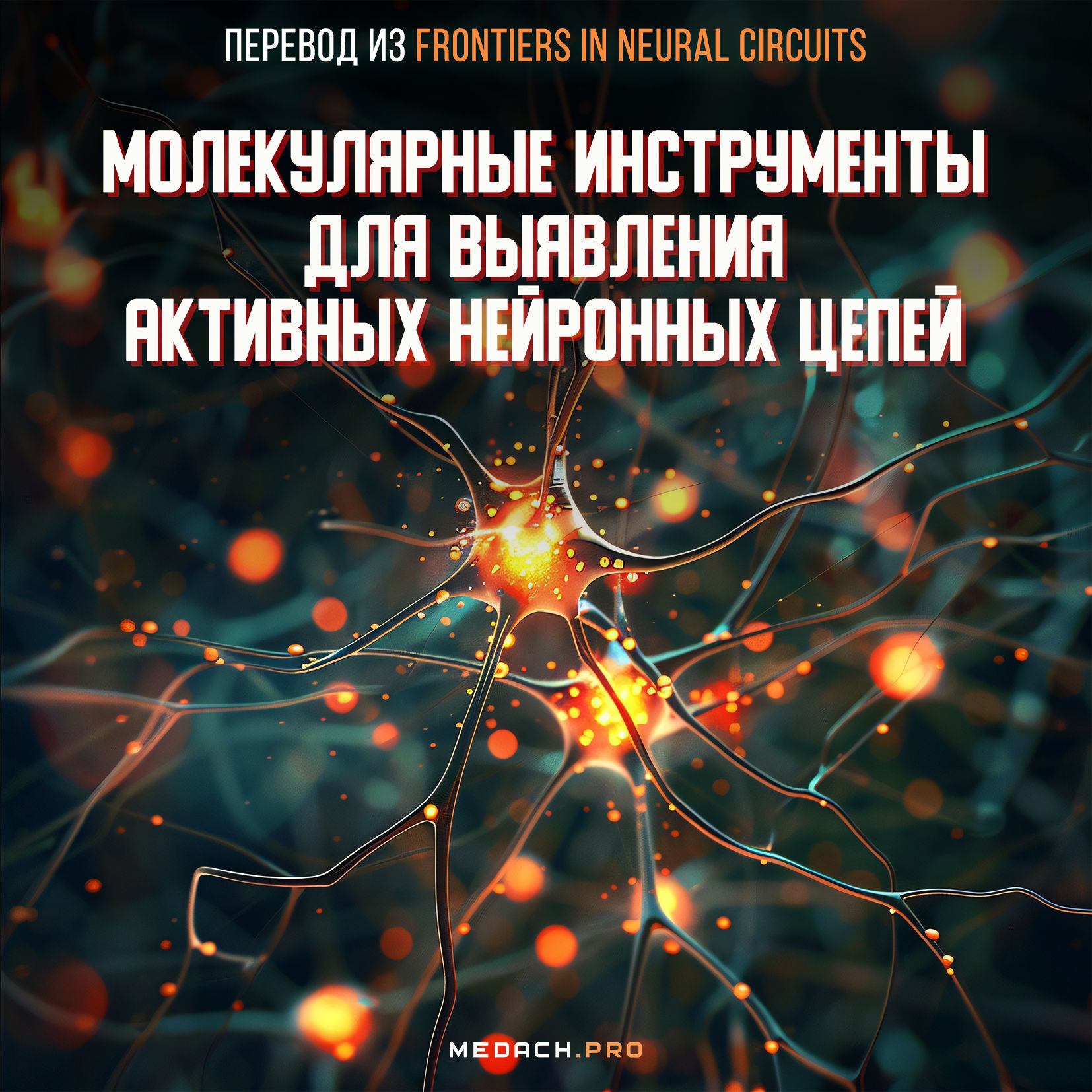 Молекулярные инструменты для выявления активных нейронных цепей