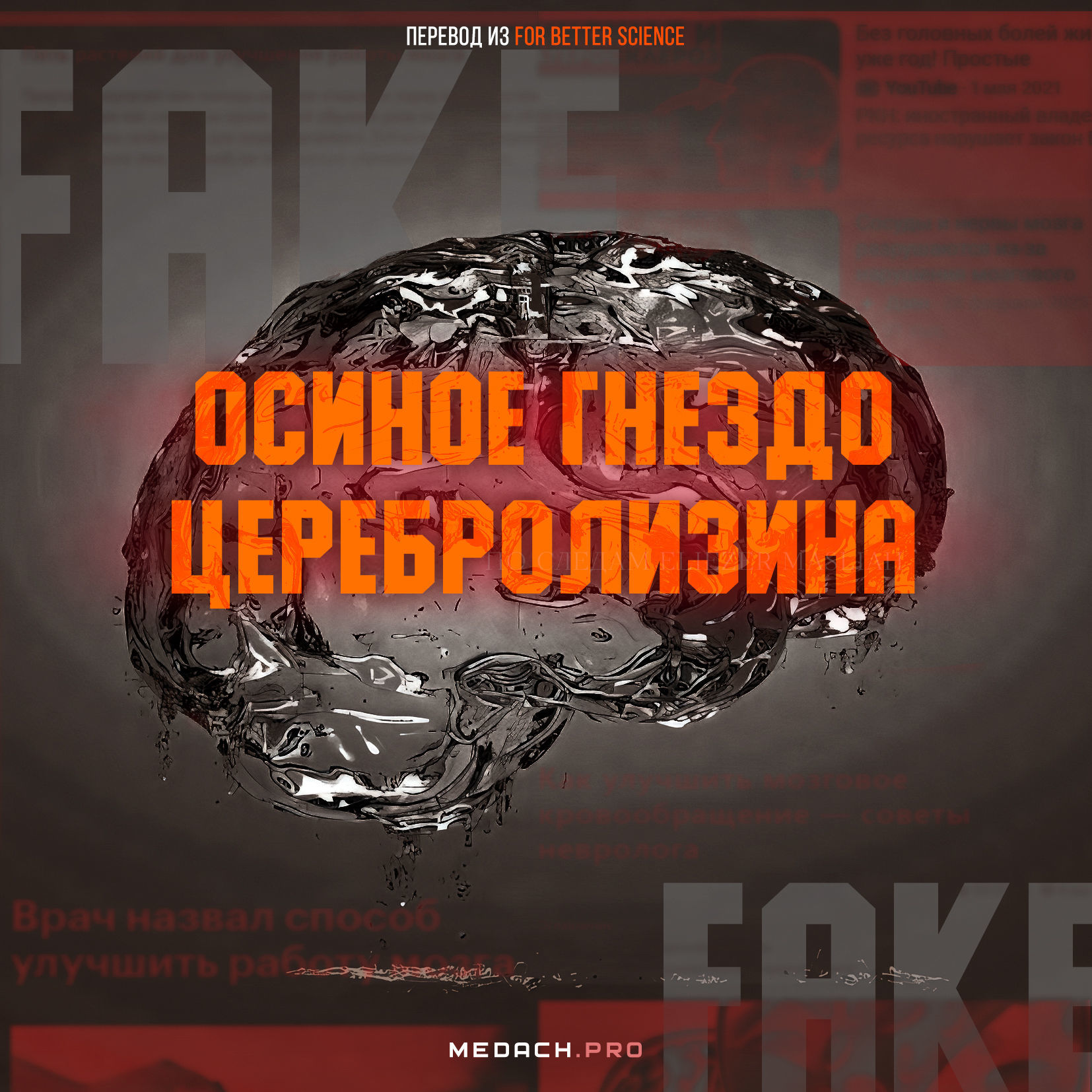 Осиное гнездо Церебролизина