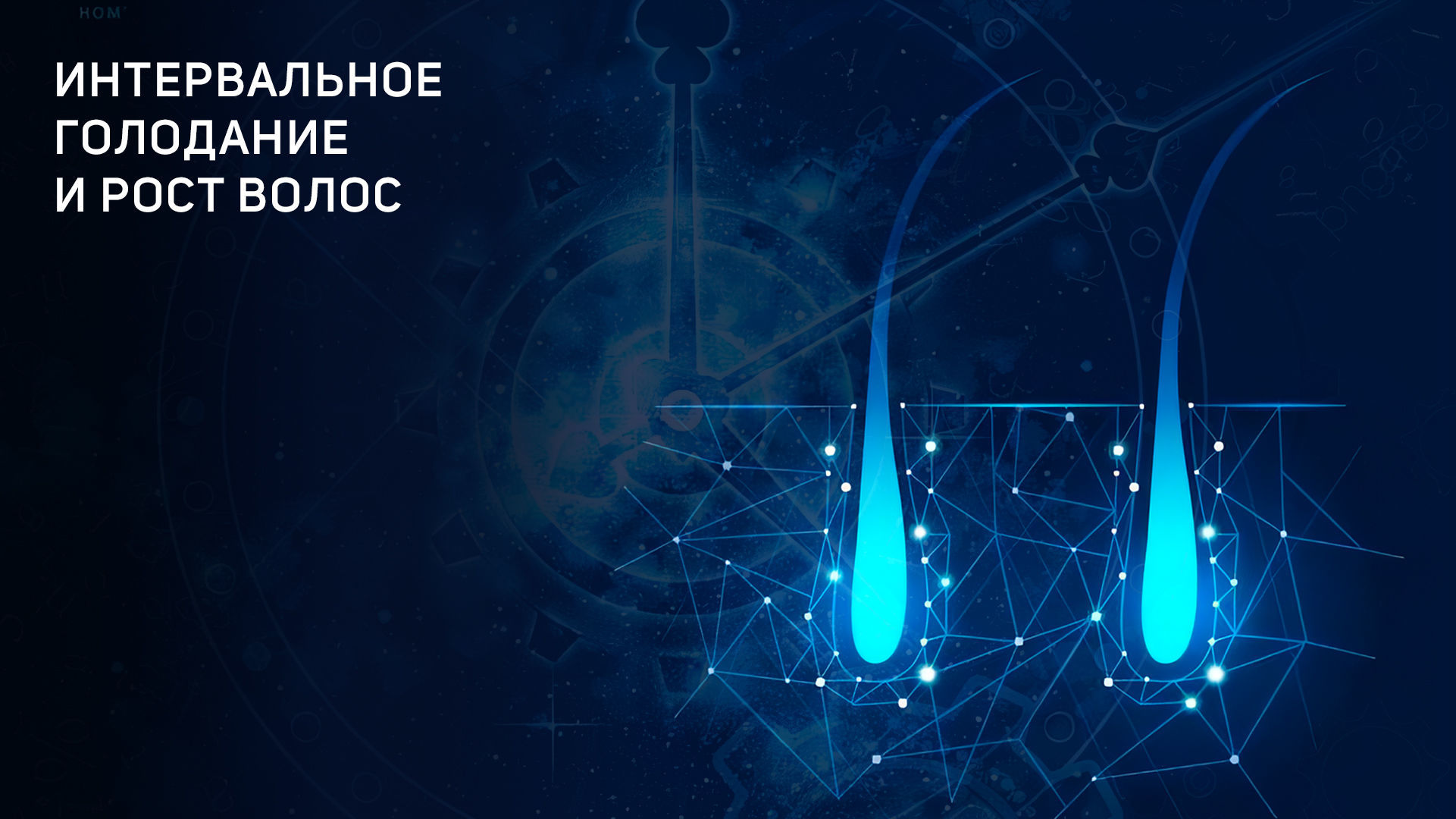 Интервальное голодание и рост волос