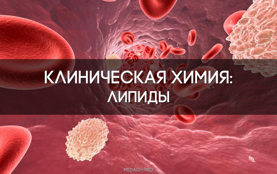 Клиническая химия: липиды